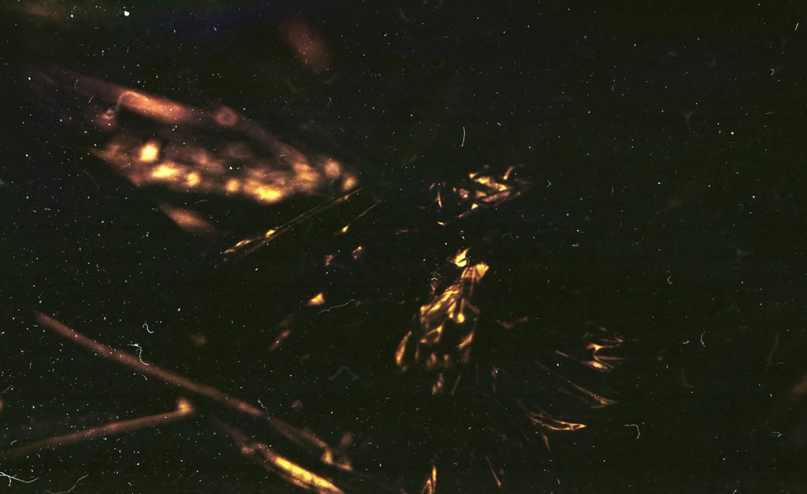 From the 7: The Warm Night