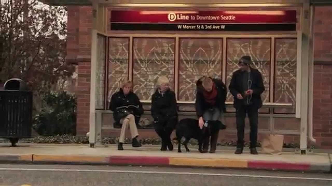 Sunday Video: The Cutest Bus-Riding Dog Around