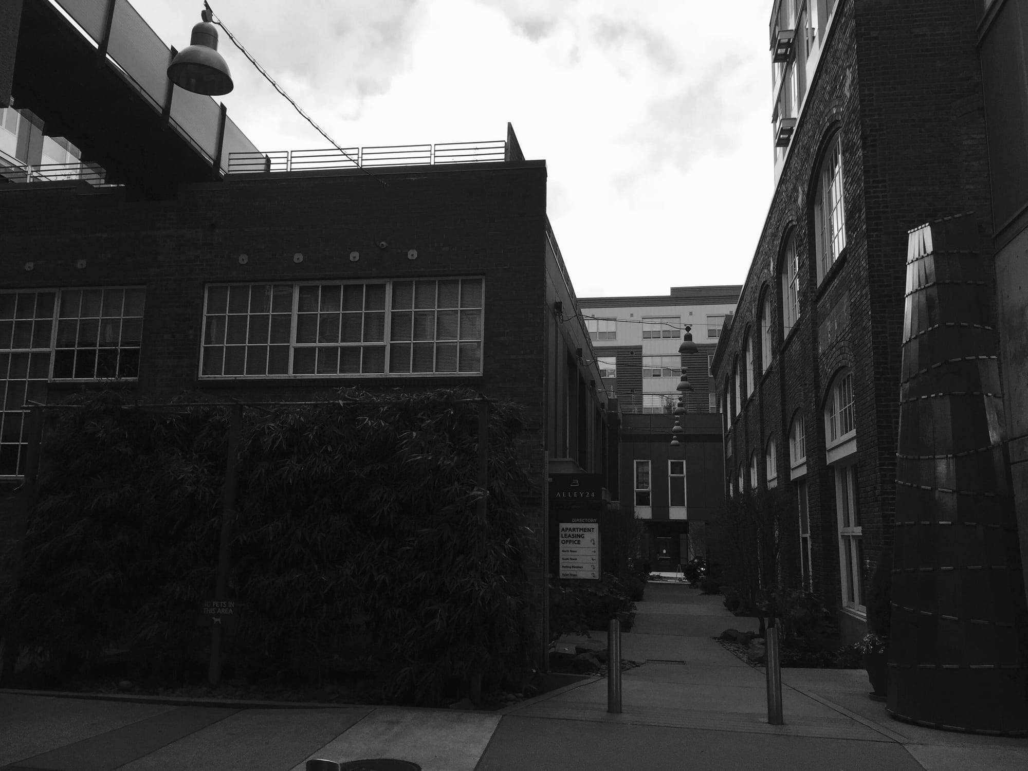 Don’t Forget! New Meetup Location at Vivace SLU on Tuesday