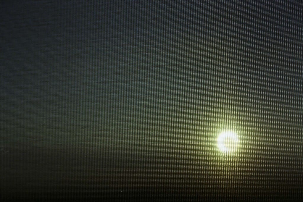 Of Kindness and Cow Manure