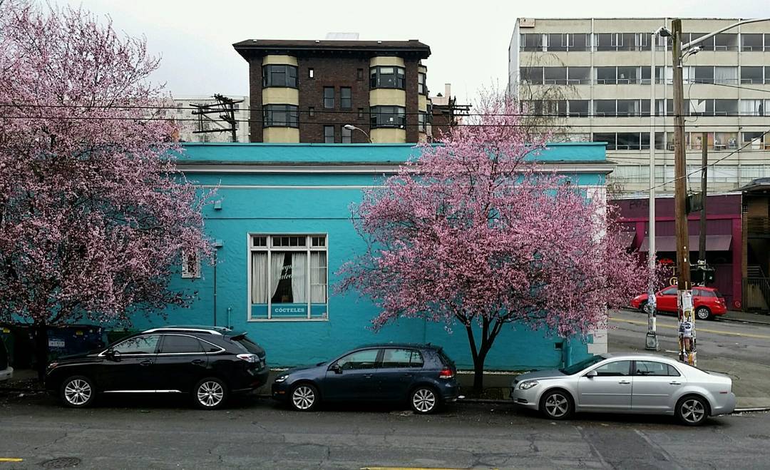 What We’re Reading: Bertha, Buses, and Bids