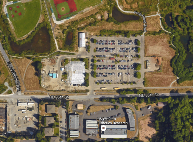 Overflow parking lot near the US Fisheries site, just east of Sand Point Way. (Google Maps)