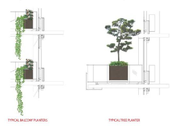 The hanging plants and tree plantings.