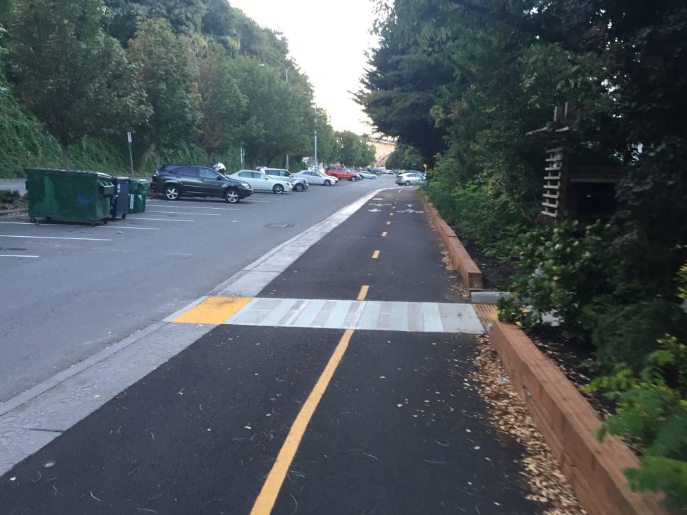 Small pedestrian path passing through a landscaped area and across the cycletrack.
