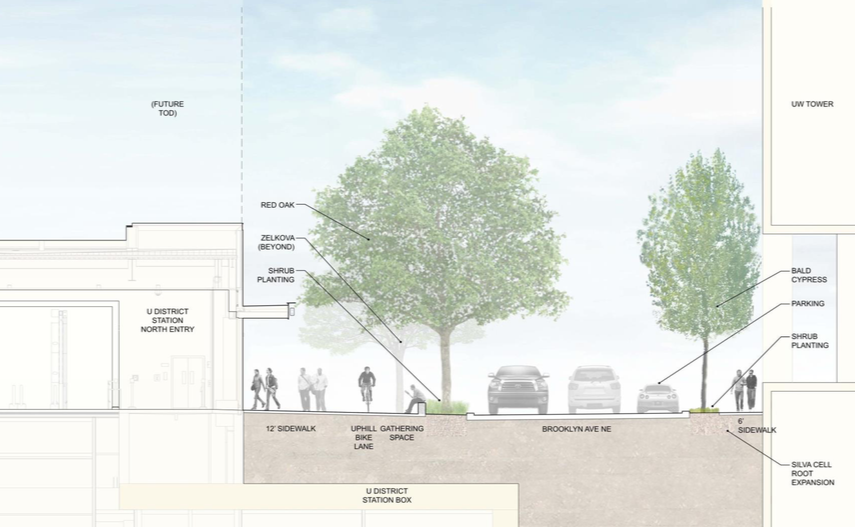 Cross section of Brooklyn Ave NE. (Sound Transit / LMN Architects / Swift Company)