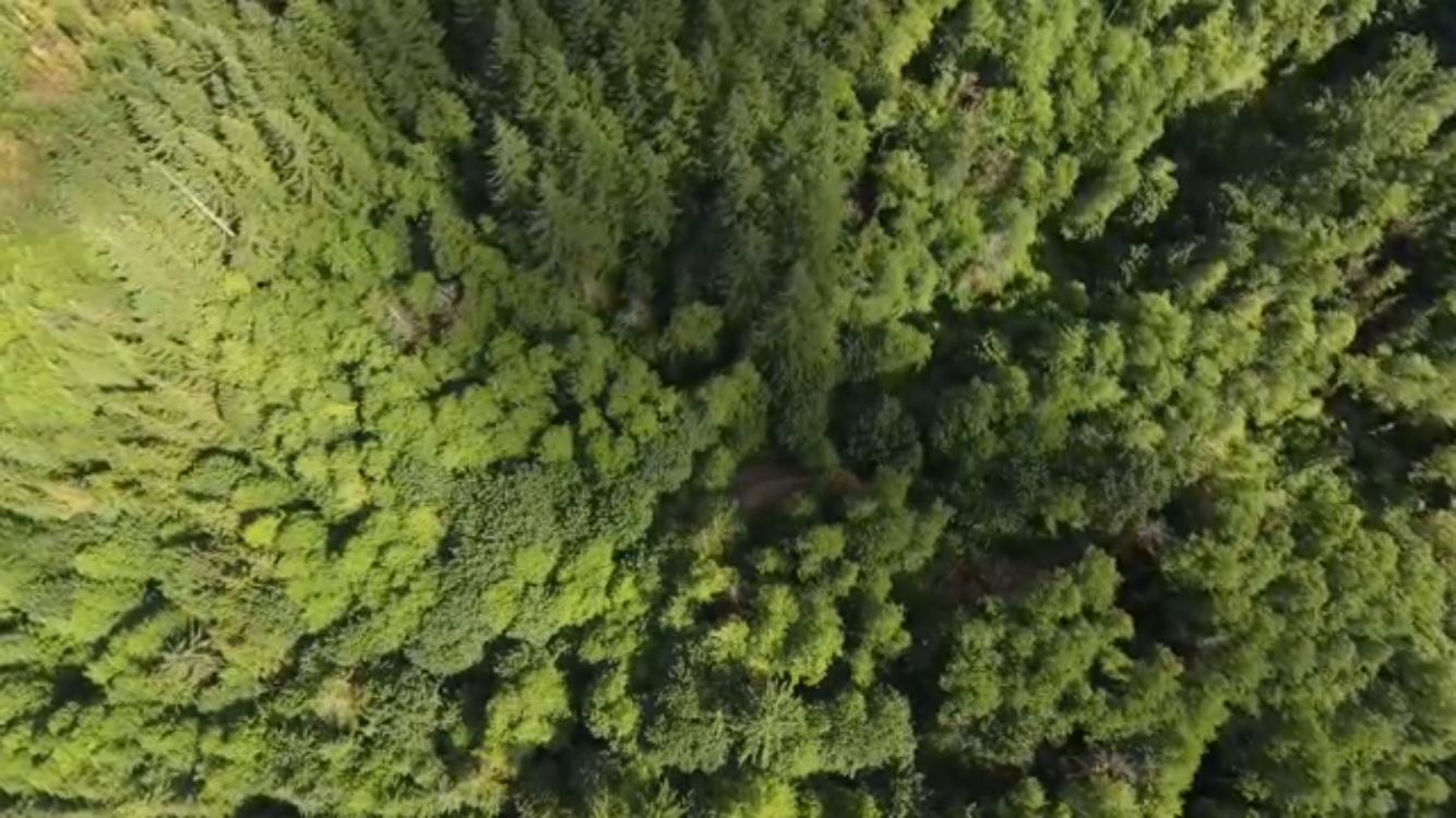 Sunday Video: Washington Is Awesome