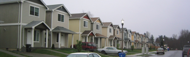 The image features monotonous setbacks and building forms. While some variety of color and porch roof forms are included, it still comes across as excessively monotonous.