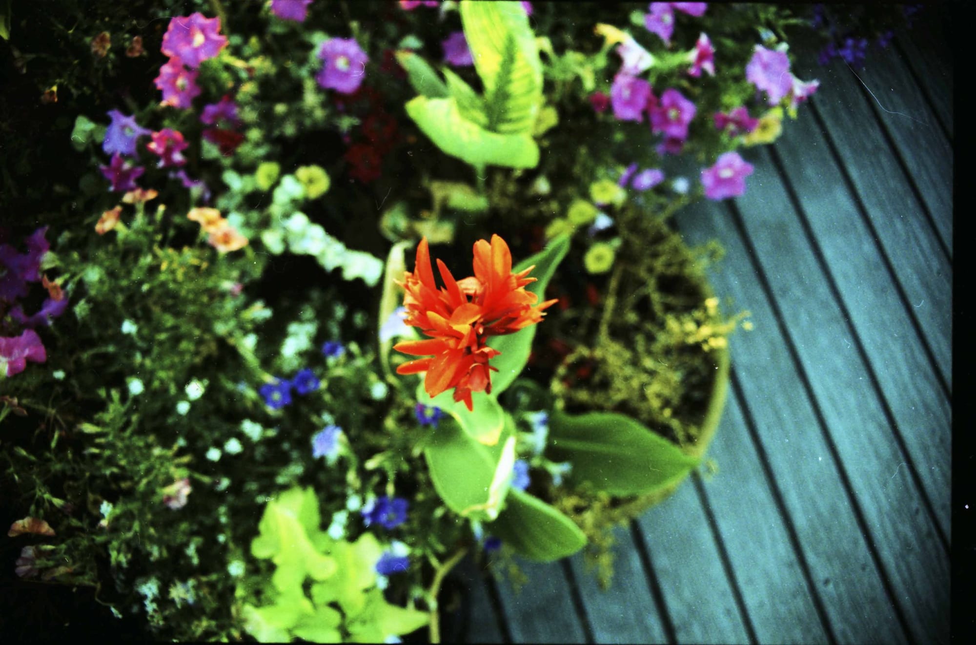 Pulling Our Weight, Part II: Addressing the Homeless Laziness Question