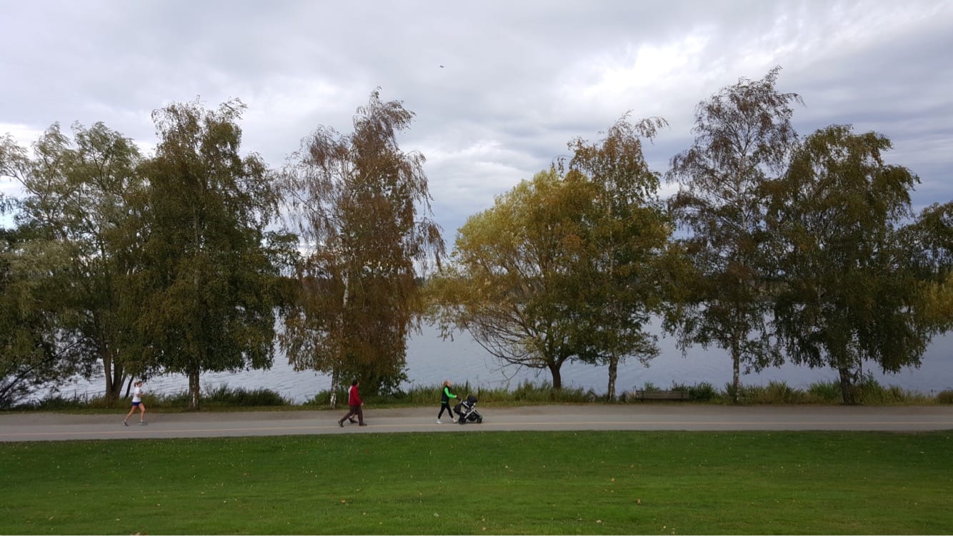 How SDOT’s Plans for Green Lake and Wallingford Can Go From Good to Great