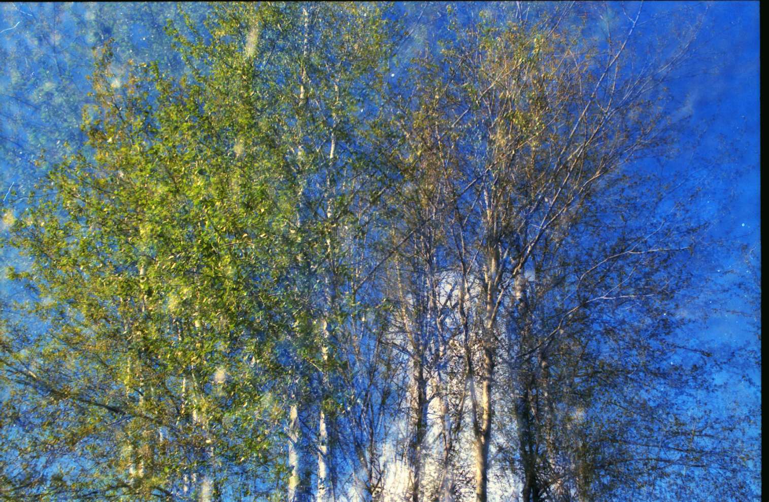 What We Have to Give