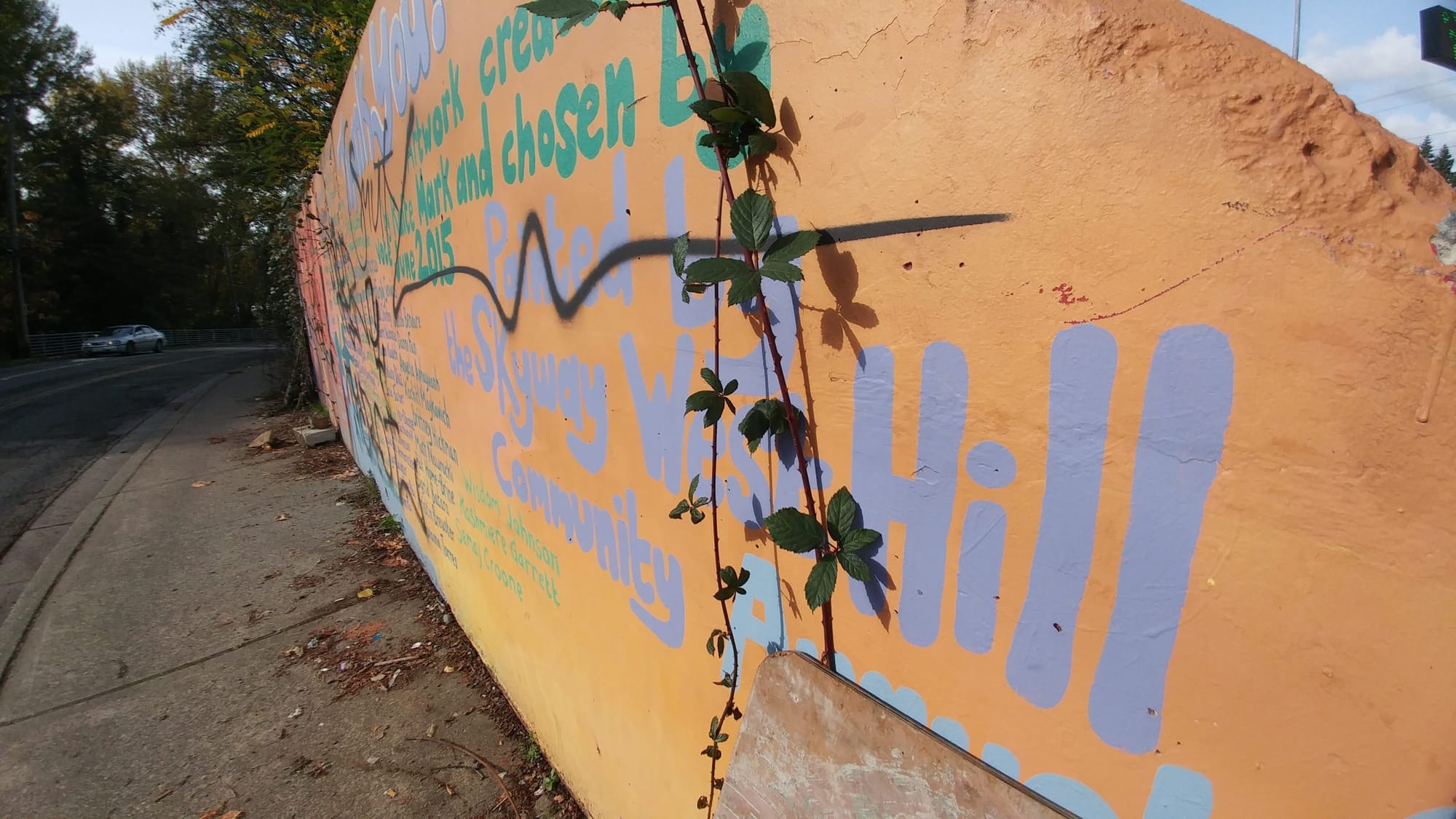 Wonkabout Washington: Preserving Ferry County Agricultural Land and Community Planning with Youth in Skyway