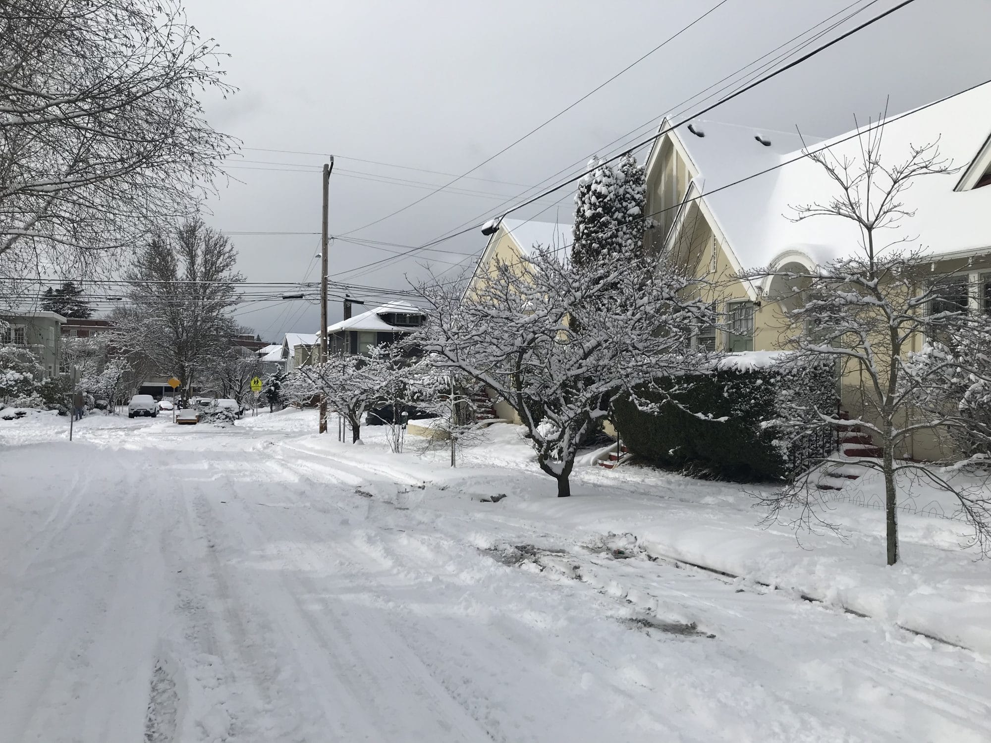 What We’re Reading: Green New Deal, Not So Fast, and Transit Poachers