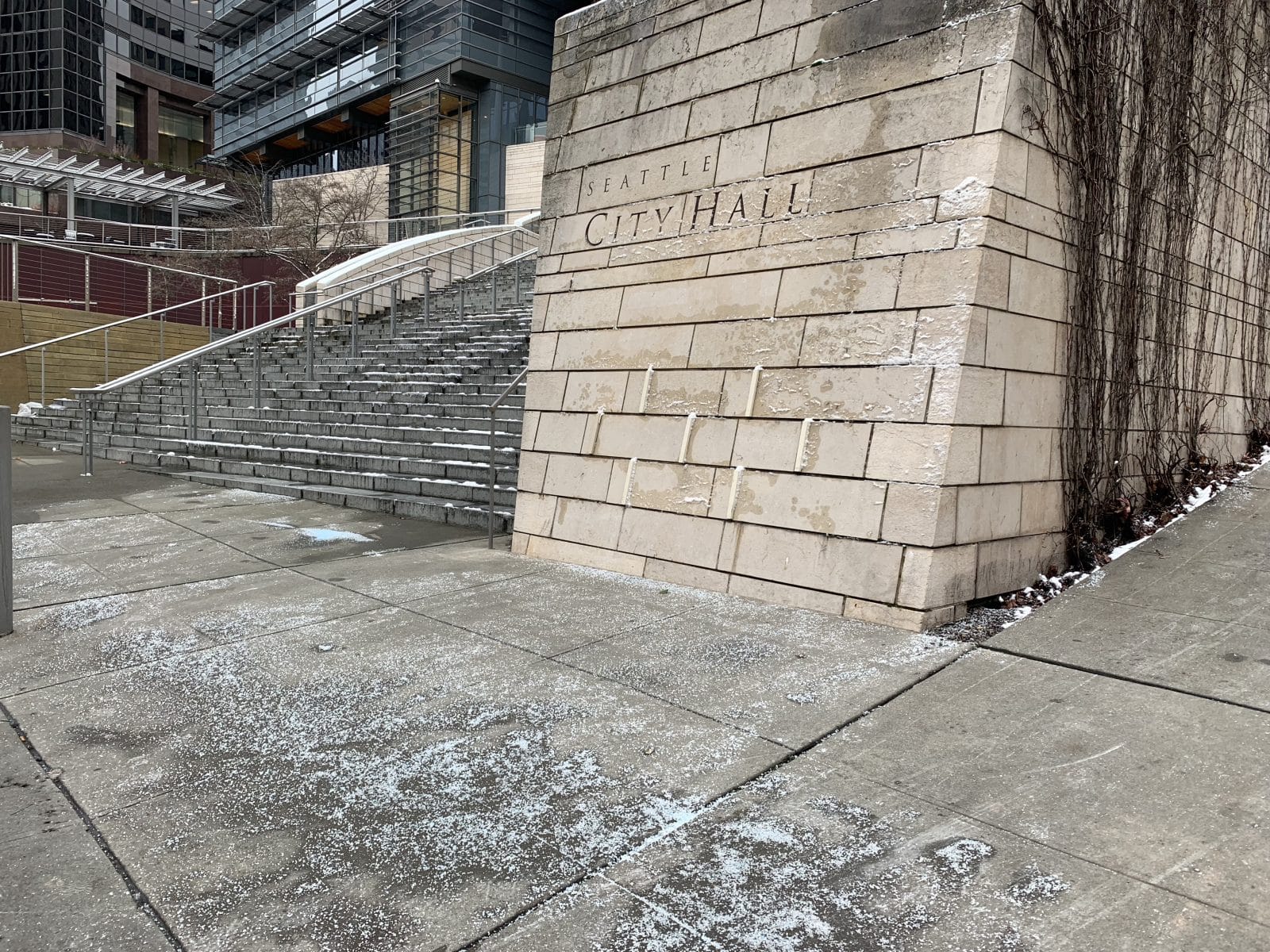 Seattle’s Salt Addiction