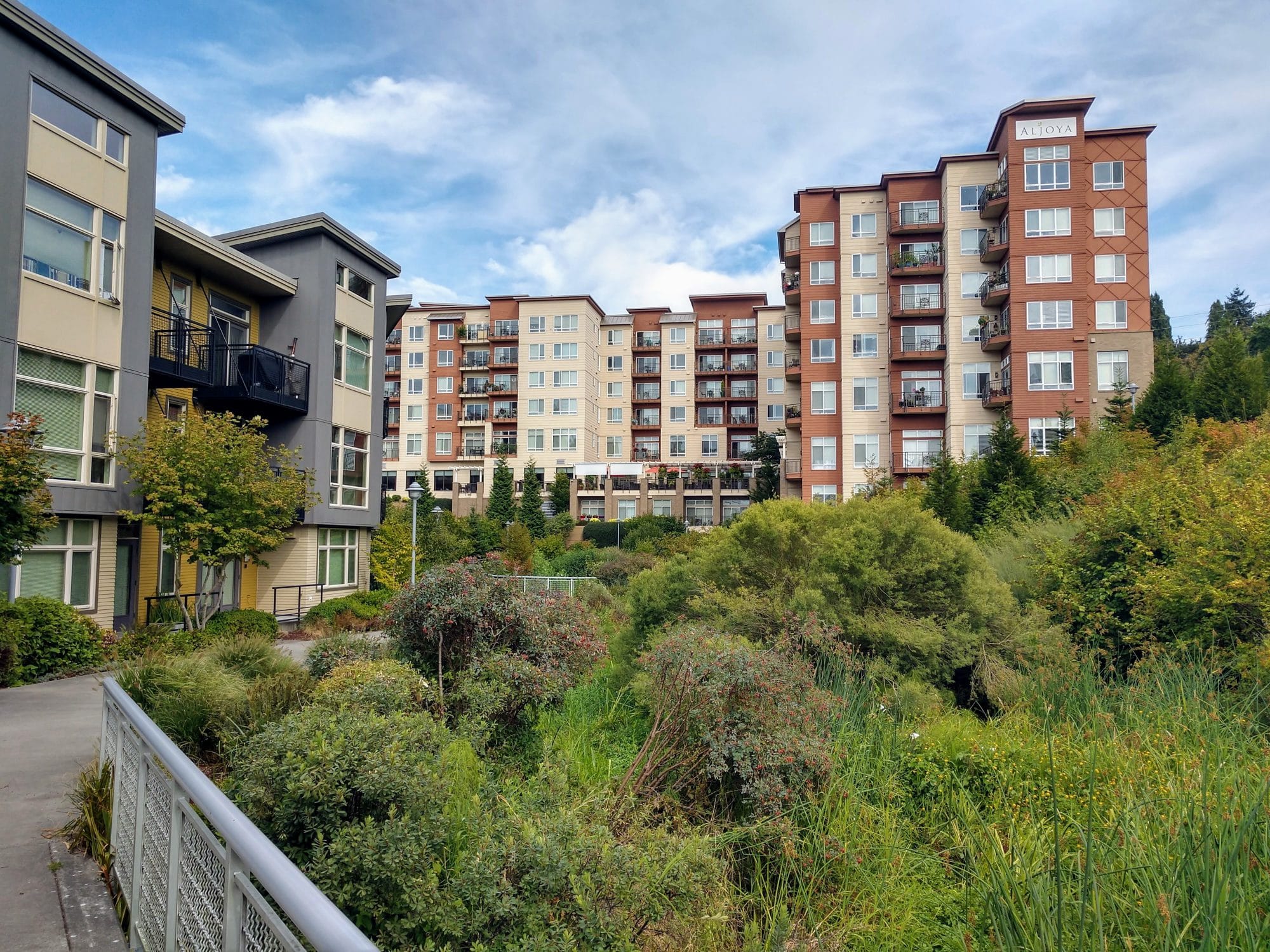 Seattle Should Count Its Ecological Assets