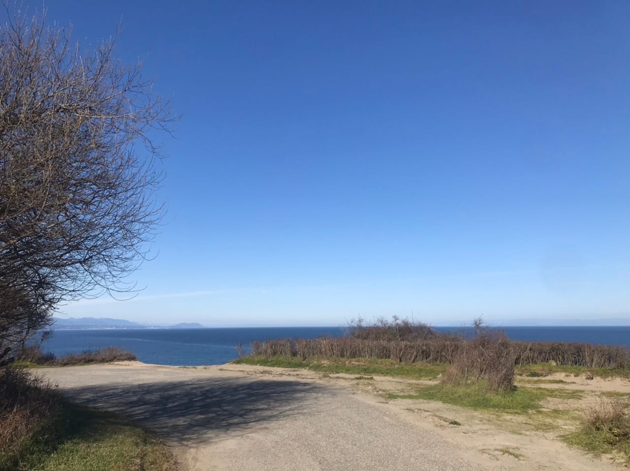 What We’re Reading: Failure To Test, Greater Eastside Transit, and Economic Shock