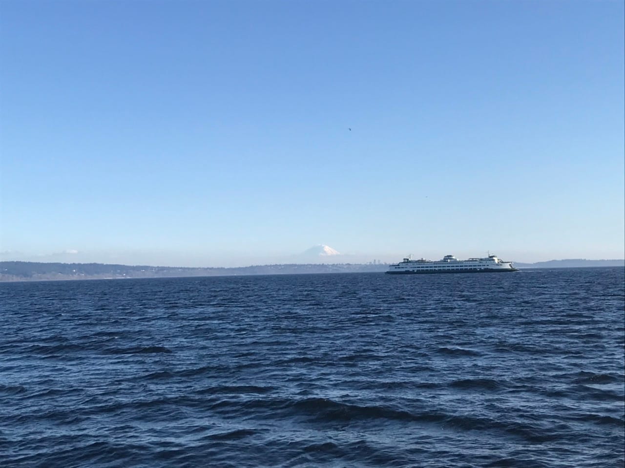 What We’re Reading: Stay Home, AMDG, and Forest Practices