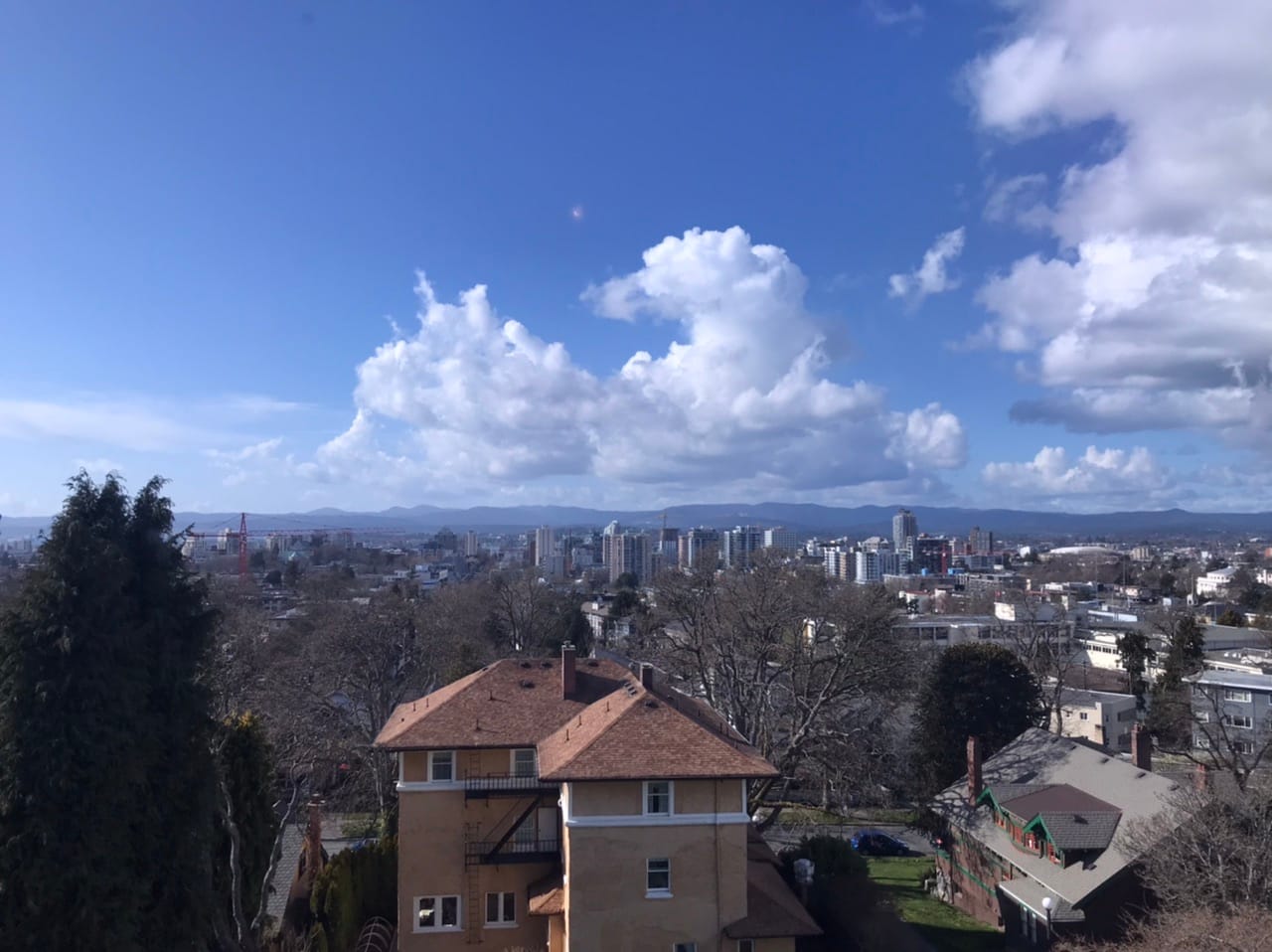 What We’re Reading: Still Stay at Home, Rise of the Bike, and Vilnius Goes Outside