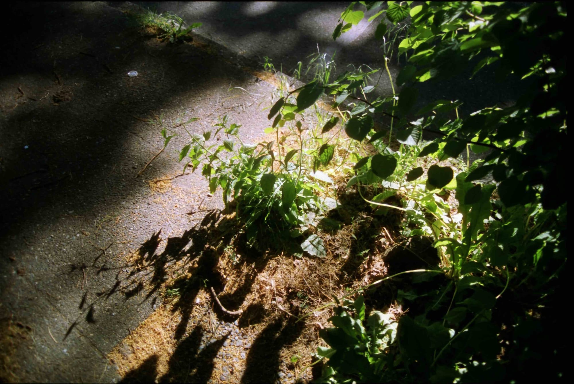 To Thrive, Meanwhile