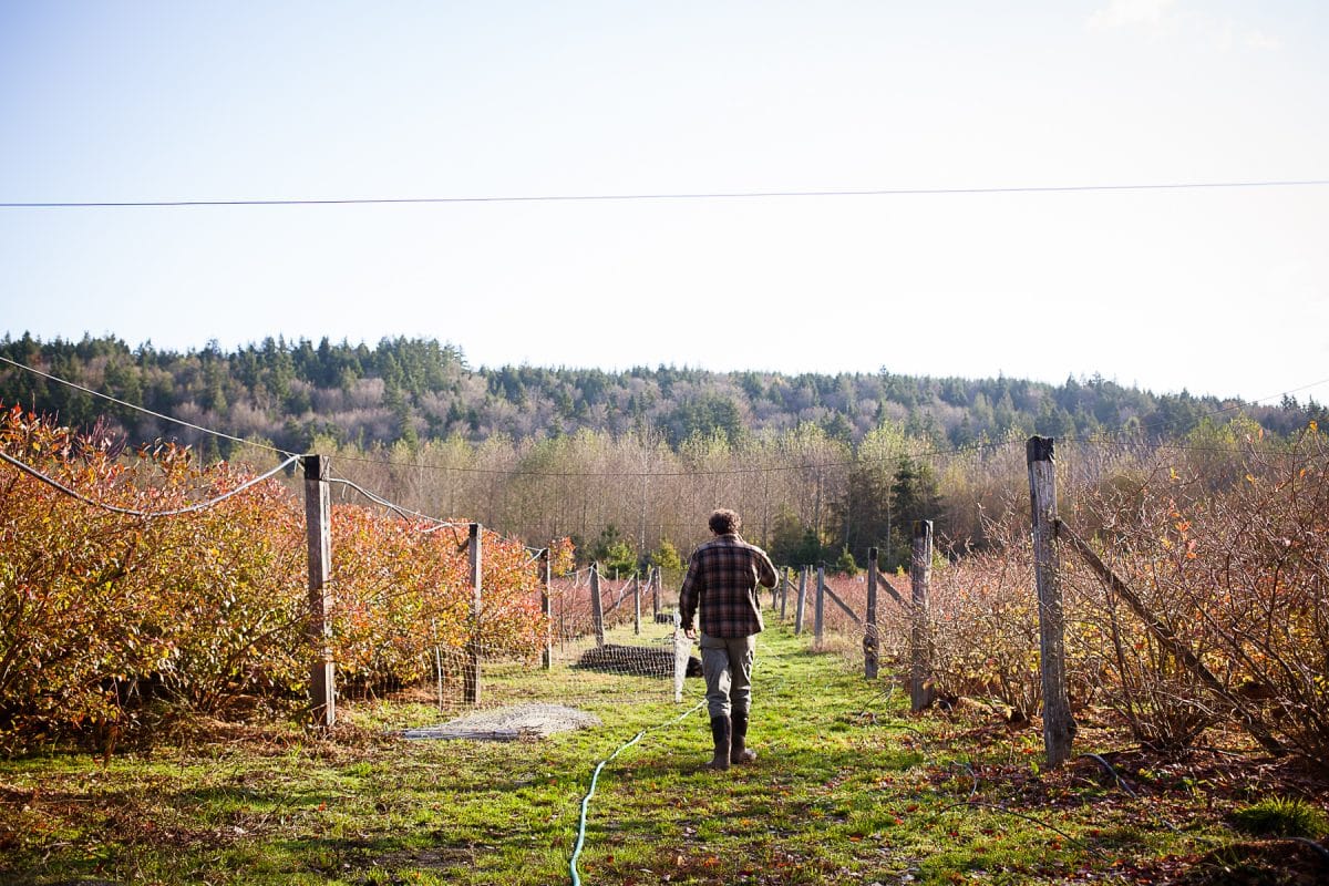 Wonkabout Washington: Farms Under Threat