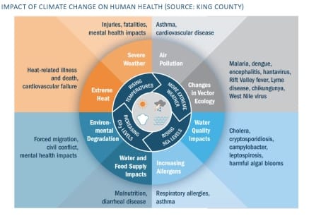 Impact of climate change on human health graphic highlight negative consequences of extreme heat, severe weather, air pollution, changes in disease vector ecology, worsening water quality, increasing allergens, water and food supply, and environmental degradation. (King COunty)