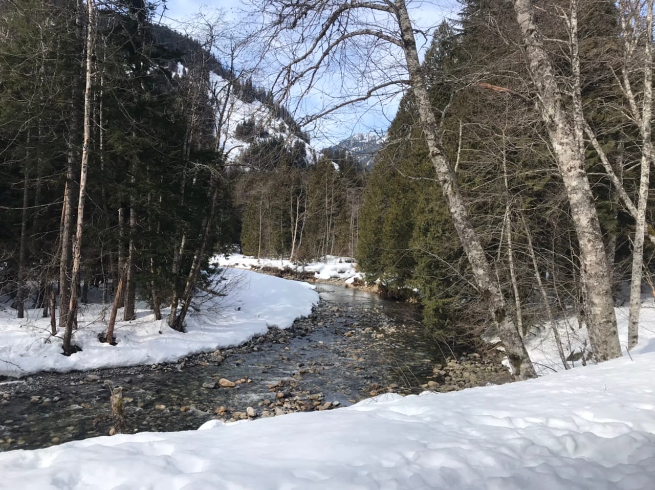 What We’re Reading: Grocery Boom, HSR Act, and Extended Moratorium