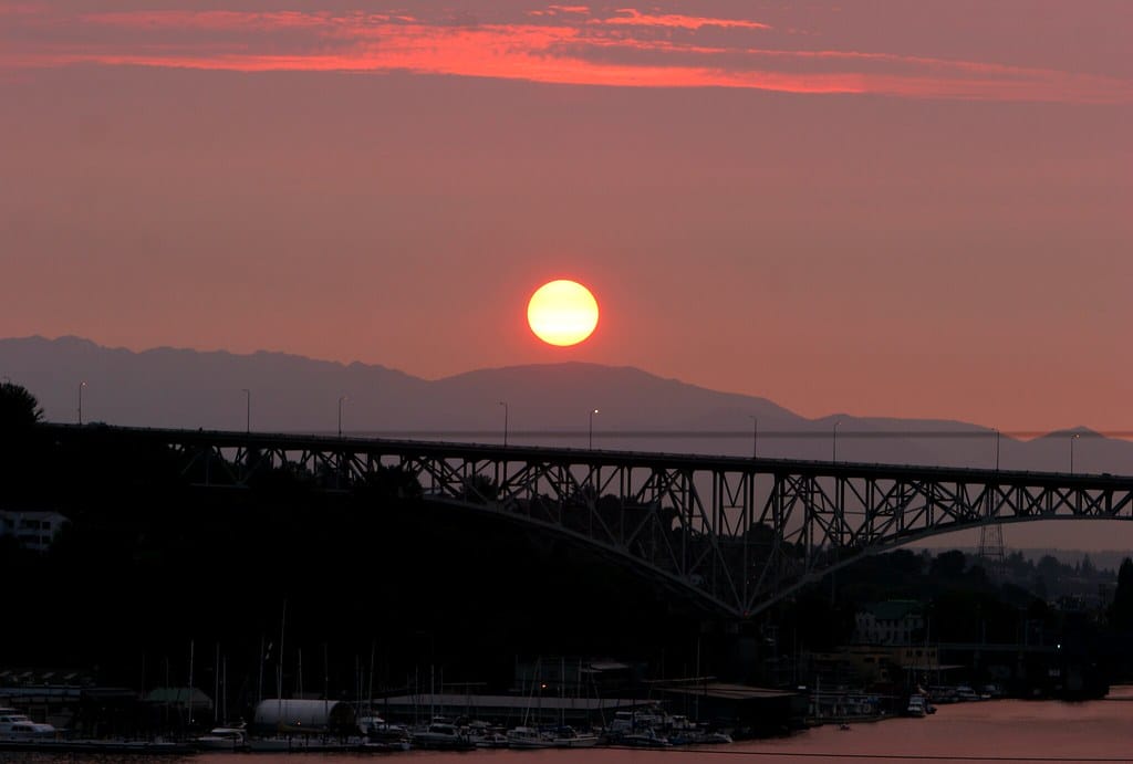 The Persistence of Seattle’s Smoke Show