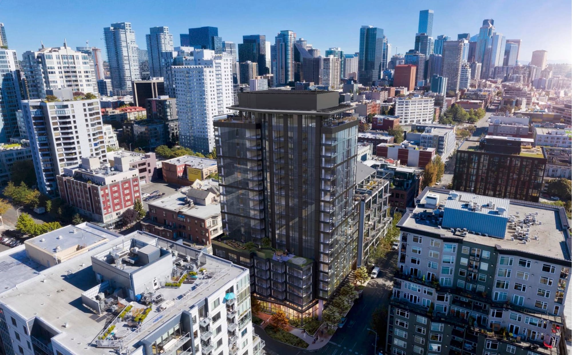 Belltown Group Tries to Block Taller Buildings Downtown Over Birds