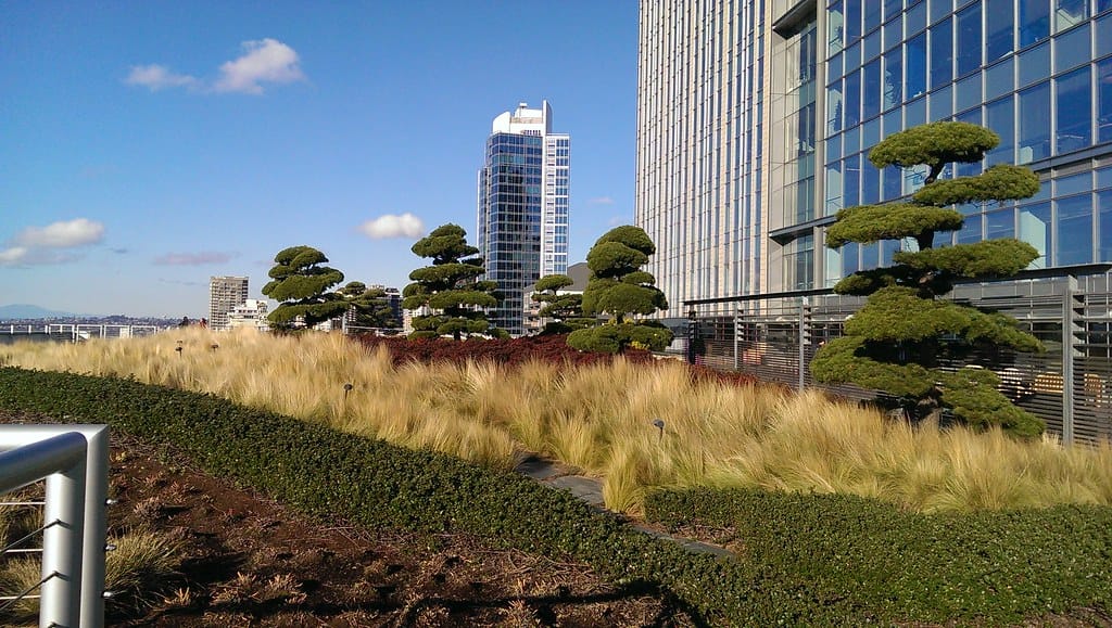 Green Roofs Provide Many Benefits as Cities Densify