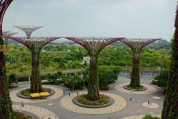 The Urbanist Podcast: Trees, Density, and Cities