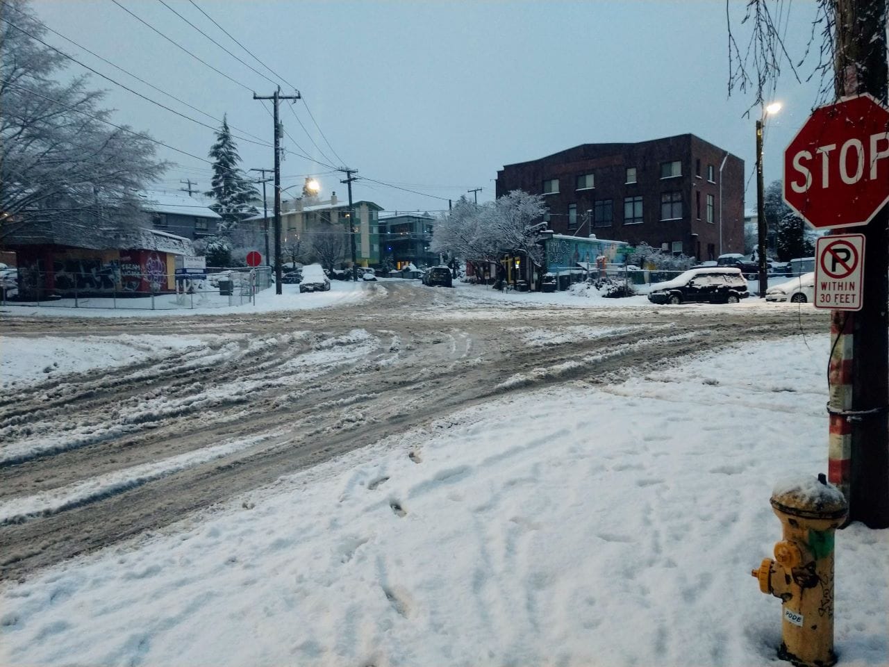 Progressive Seattle Enters a Fallow Season