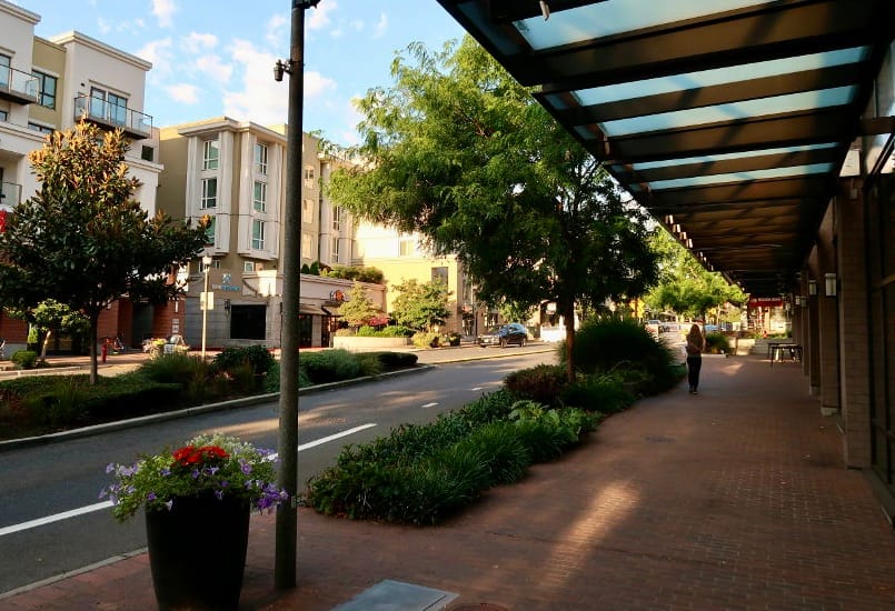                      Imagining a Car-Free Zone in Bellevue: Two Proposals
                     