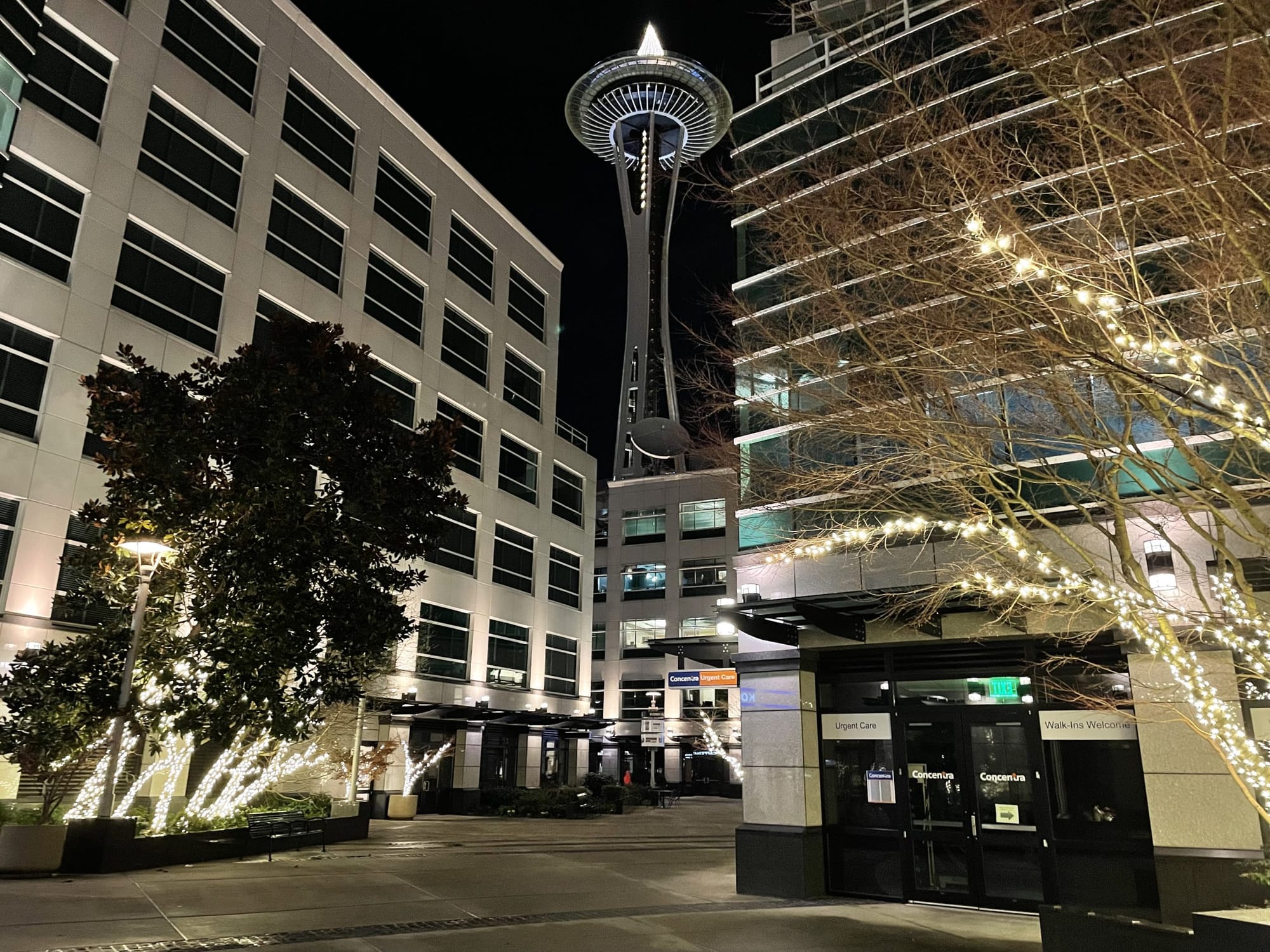 Advocating for Seattle’s Nightlife, Post Pandemic