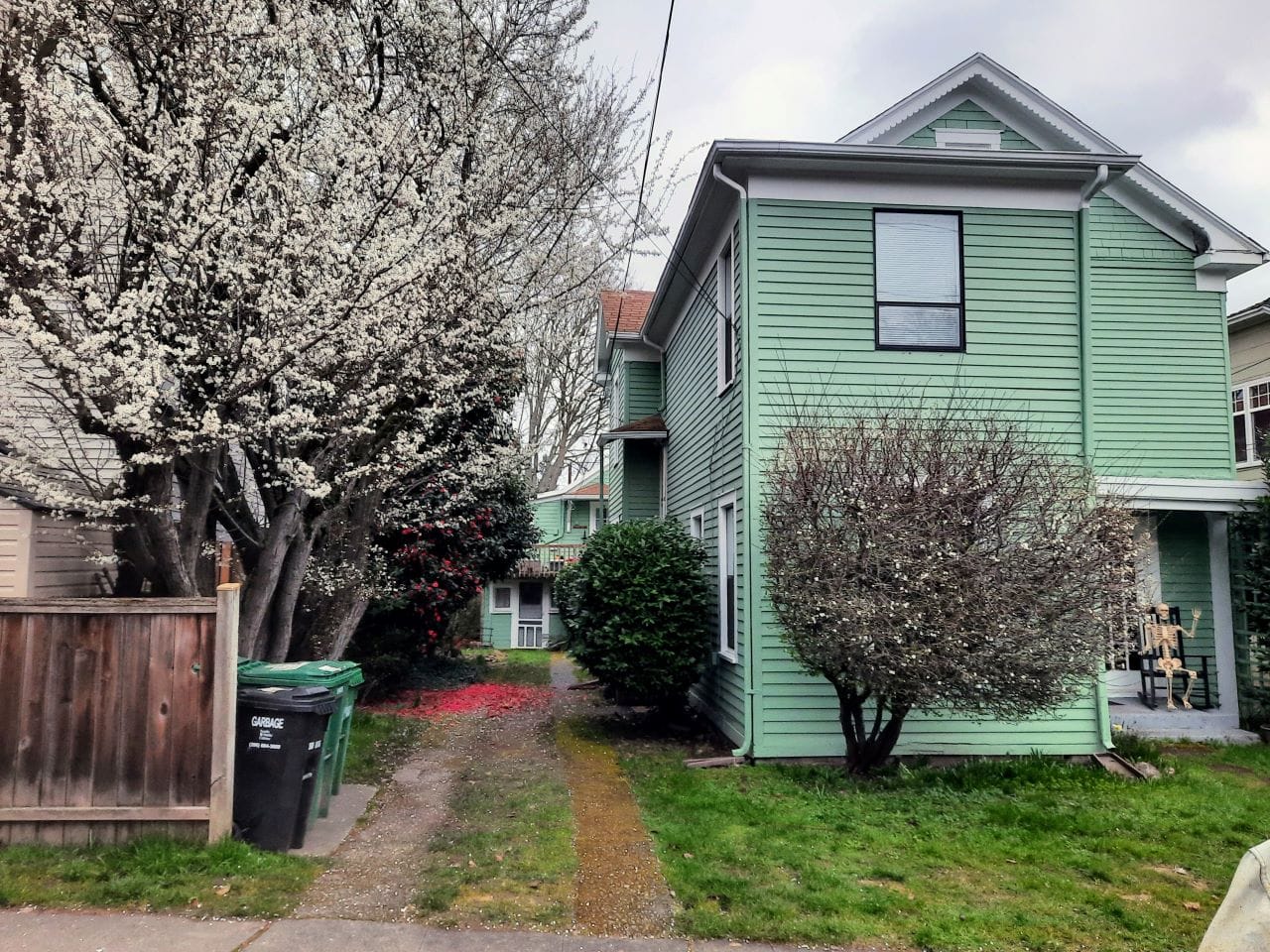 Red rhododendrons and white tree blossoms adorn the yard as does a skeleton decoration on a rocking chair in the porch.