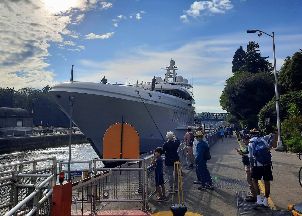 A half dozen look at a large white boat that towers over the locks.