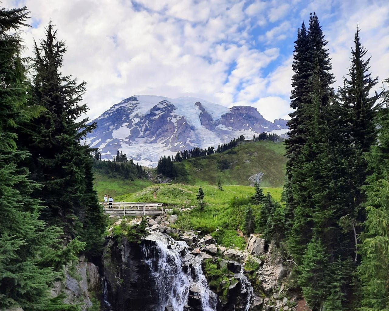 Vanes of glacier line the mountaintop. The meadow is lush green.