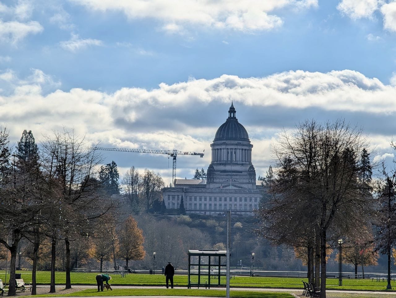 Washington Legislature Toys with Age Verification for Big Tech