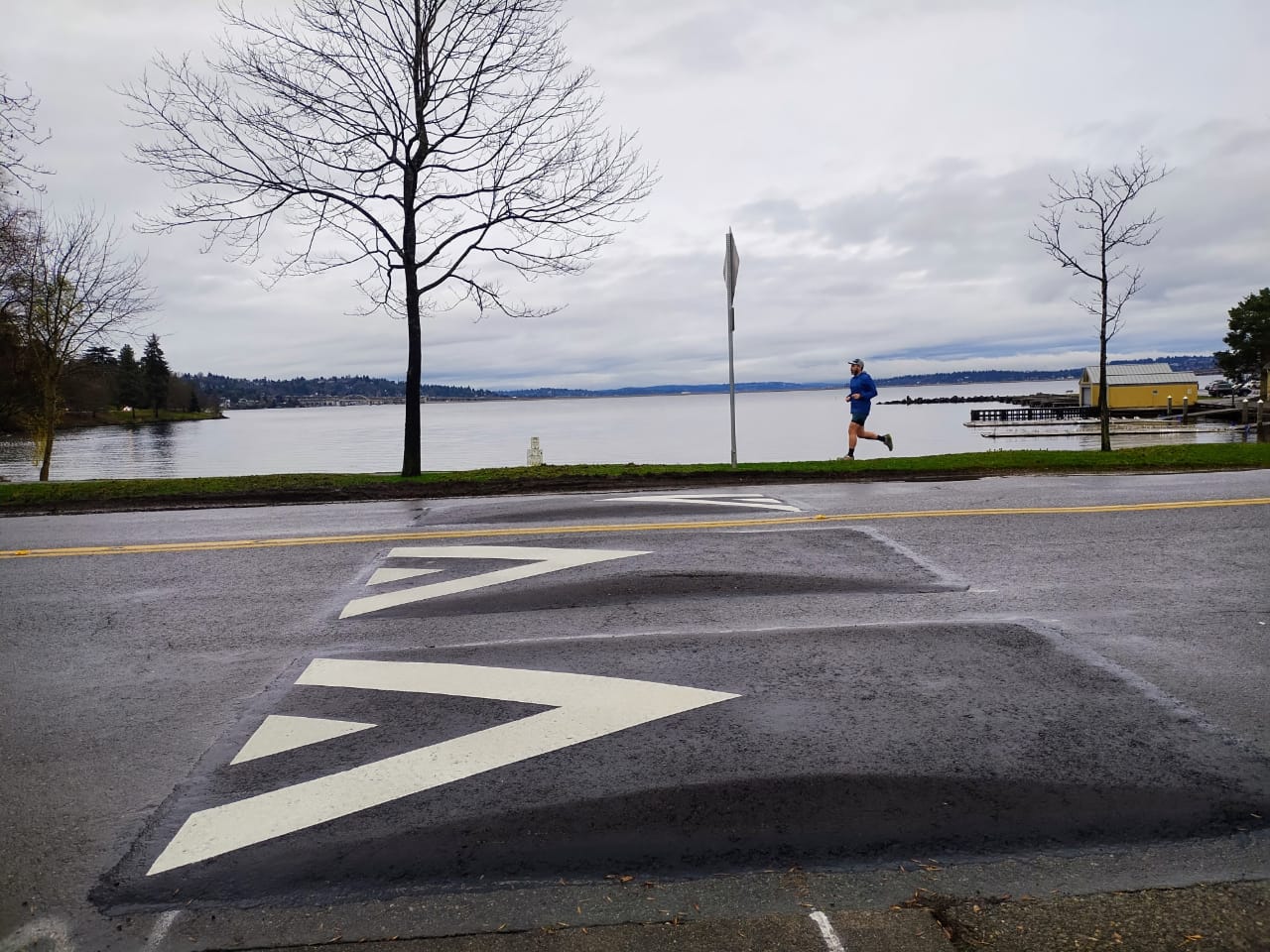 How Routine Lake Washington Boulevard Traffic Calming Turned Into a Fight