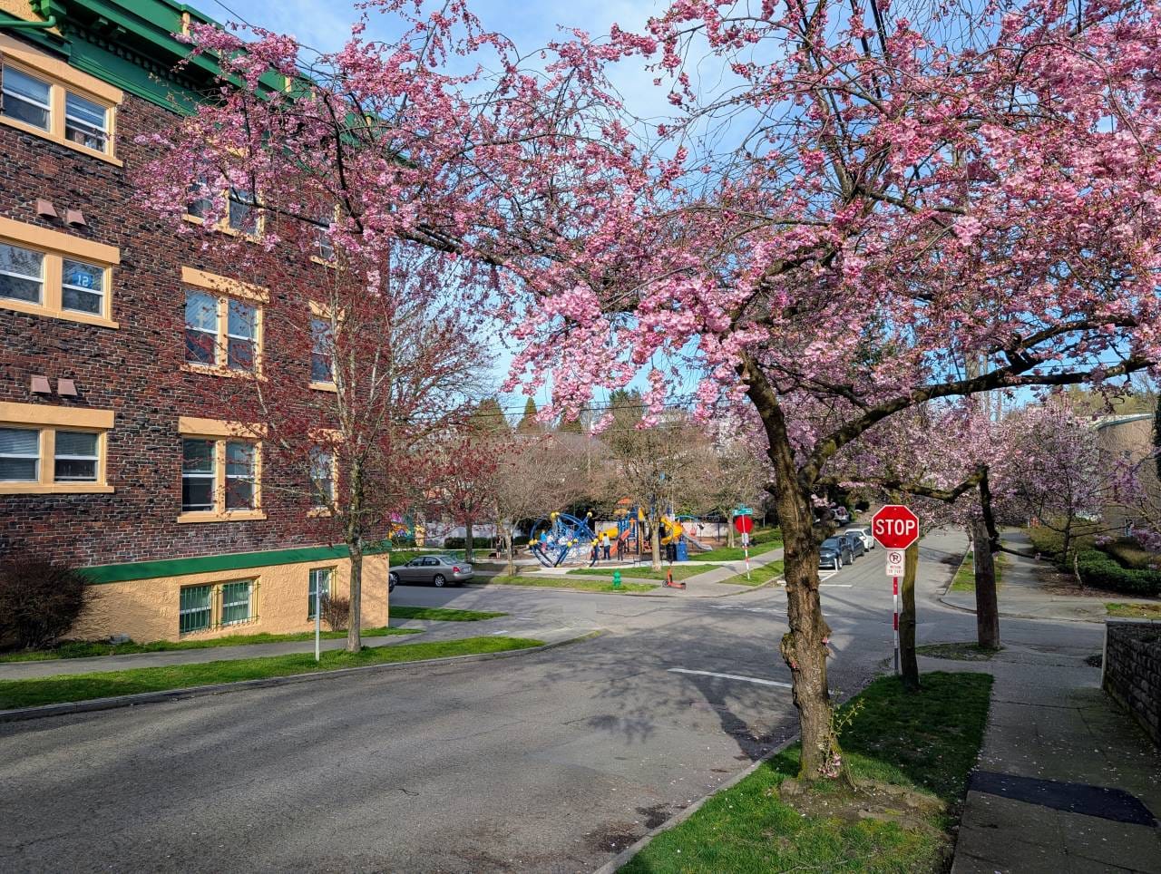 Op-Ed: To Save Trees and Orcas Build More Homes in Seattle