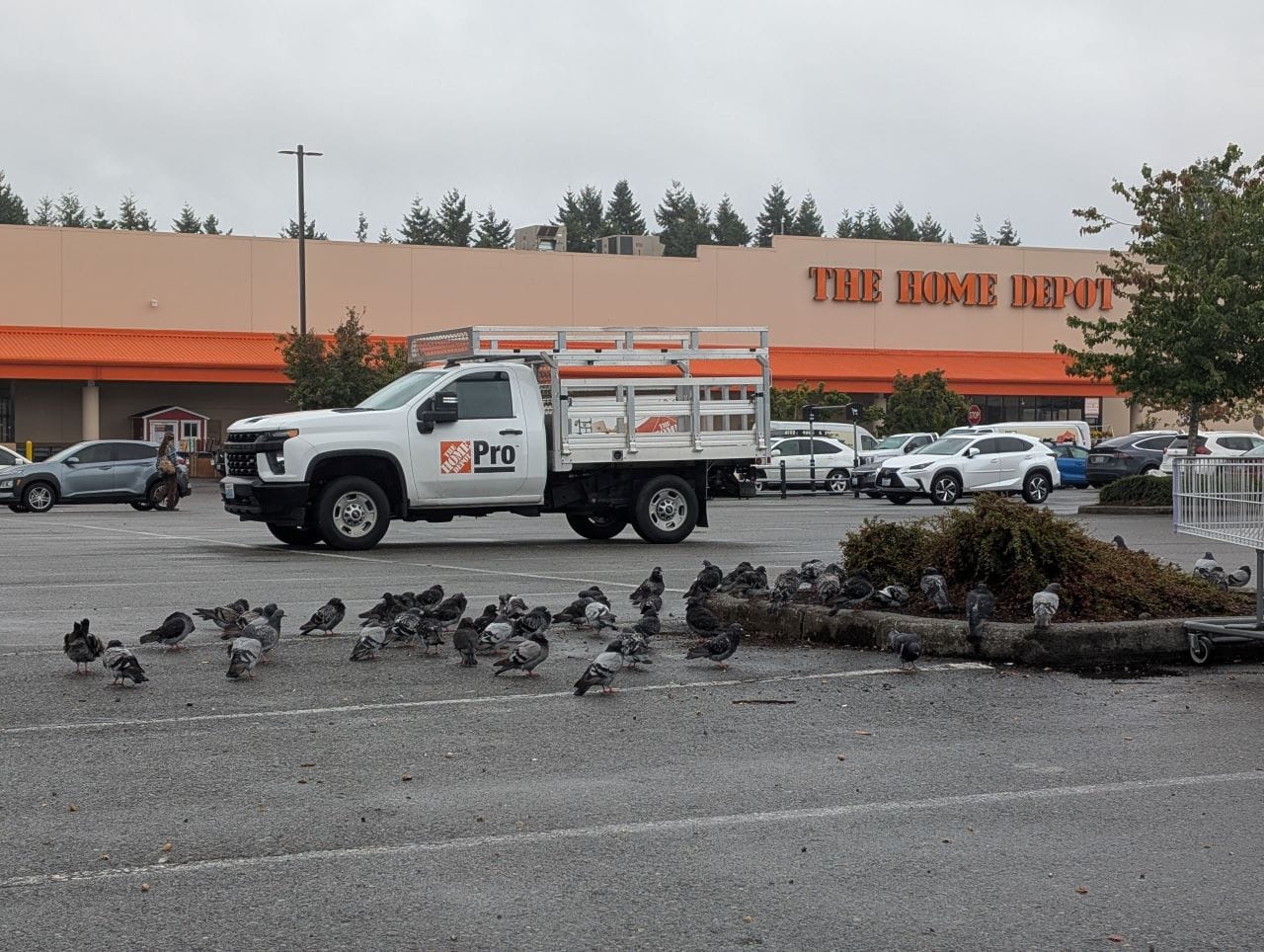 Why Shoreline’s Vote to Erase Parking Mandates Is a Big Deal