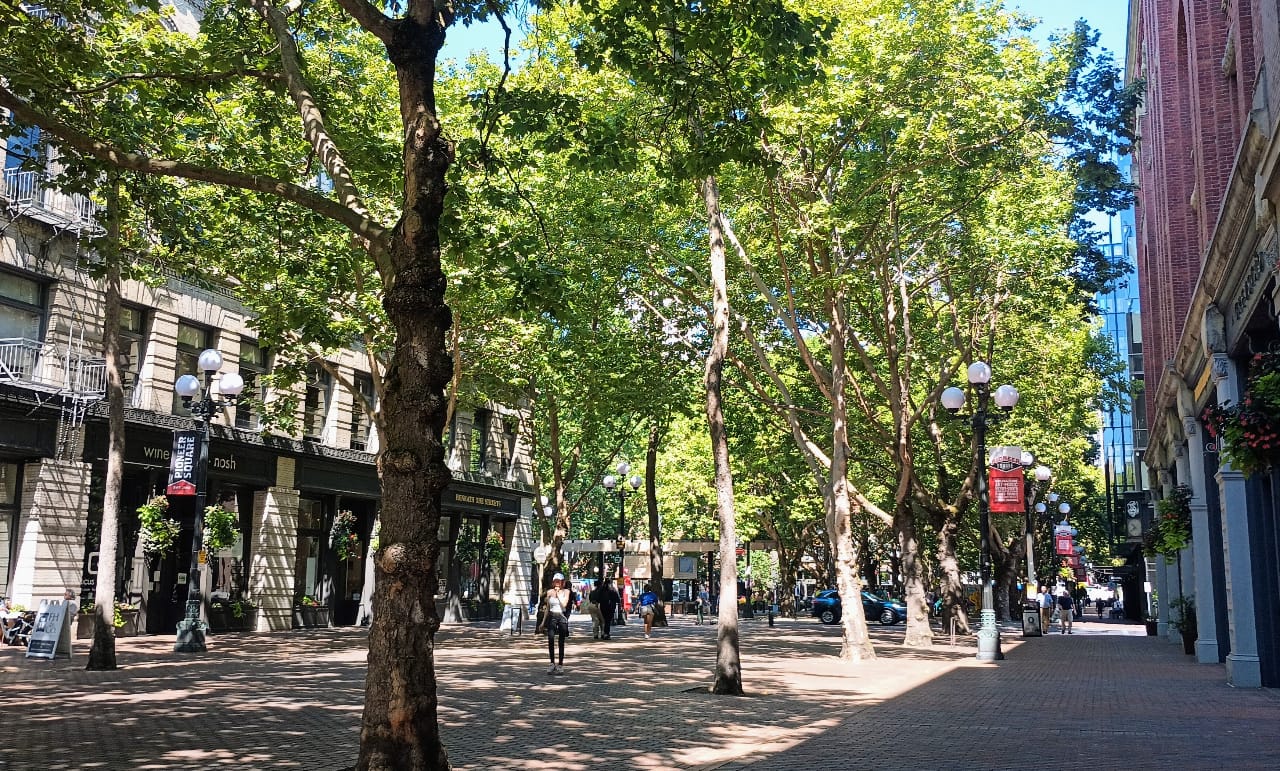 ‘Existential’ Budget Cut Would Wipe Out State Urban Forestry Program